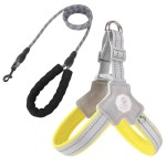 Dog Vest Leash Supplier - Outdoor Teddy Corgi Vest Leash Small Medium Pet Chest Leash Adjustable