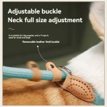 Dog Leash Factory - Explosion Proof Impact Pet Leash Handless Walking Training Collar Rope