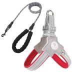 Dog Vest Leash Supplier - Outdoor Teddy Corgi Vest Leash Small Medium Pet Chest Leash Adjustable