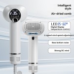 Pet Blow Comb Supplier - Smart Blowing Comb Air Drying Roller Hair Dryer Remover for Dog Cat Beauty