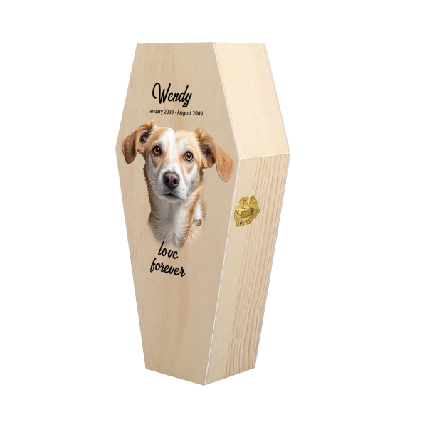 Pet Urn Supplier - Solid Wood Cremation Urn Customizable Pet Ash Coffin with Printed Design