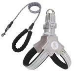 Dog Vest Leash Supplier - Outdoor Teddy Corgi Vest Leash Small Medium Pet Chest Leash Adjustable