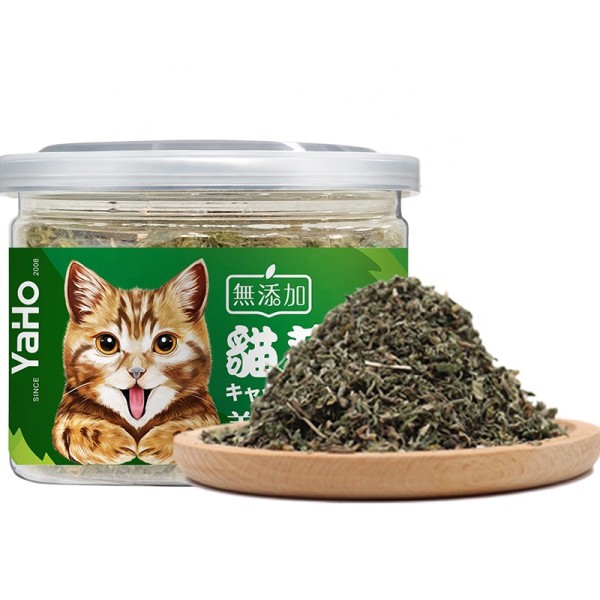 Cat Treats Supplier - Natural Pet Cat Food Wholesale Cat Treats Catmint Catnip for Feline Health
