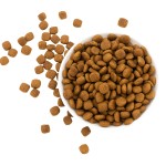 Dog Food Supplier - Pet Supplies Pet Food Supplier Private Label Dog Treats Food Grain Free
