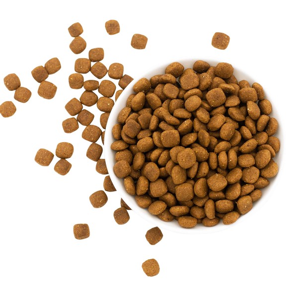 Dog Food Supplier - Pet Supplies Pet Food Supplier Private Label Dog Treats Food Grain Free