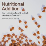 Dog Food Supplier - Pet Dog Treats Food Supplier Dog Treats Nutritional Dry Dog Food for Dogs