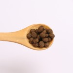 Pet Food Wholesale Factory - Factory Wholesale Pet Dog Cat Food Grain Kitten Cat Dry Food Bulk