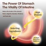 Dog Food Supplier - Pet Dog Treats Food Supplier Dog Treats Nutritional Dry Dog Food for Dogs