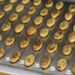 Dog Biscuits Factory - Manufactory Wholesale Bulk Dog Treats Dried Dog Crunchy Biscuits Snack Pet Food