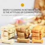 Pet Biscuit Manufacturer - China Factory Bone Shape Pet Biscuit Dog Training Food Private Label