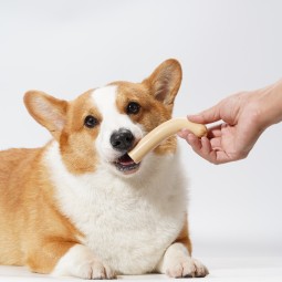 Sausage Snack Supplier - Pet Cat Dog Sausage Food Snack Chicken Duck Ham Sausage Pet Reward Snacks