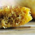 Dog Food Supplier - Pet Supplies Pet Food Supplier Private Label Dog Treats Food Grain Free