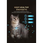 Cat Treats Manufacturer - Nature High Protein Cat Treats Snack Pet Food Senior Cat Food Dry