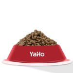 Kitten Food Supplier - Natural Healthy Grain Free Pet Food Kitten Dry Cat Food 500g Package