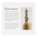 Catnip Toy Manufacturer - High Quality Premium Natural Catmint Catnip Toy Treats for Cats Digestive