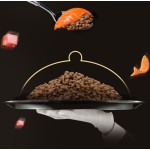 Salmon Cat Food Supplier - Natural High Protein Kitten Salmon Dry Cat Food for Kittens Cats