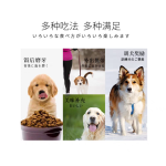 Dental Sticks Supplier - Wholesale Yaho Star Dog Treats Dental Sticks with Vitamins Minerals for Dogs