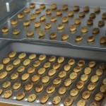 Dog Biscuits Supplier - Original Factory Low Fat Dog Training Biscuits Crunchy Chew Treats Vitamins