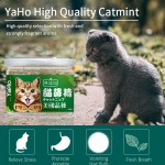 Cat Treats Supplier - Natural Pet Cat Food Wholesale Cat Treats Catmint Catnip for Feline Health