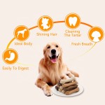 Dental Treat Bones Supplier - Bulk Cheap Price Natural Dried Pet Snacks Food Dental Dog Treat Bones