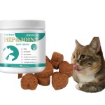 宠物咀嚼零食厂家-代工定制益生菌补充