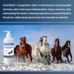 Equine Joint Gel Manufacturer - Veterinarian Recommended