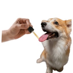 Pet Liquid Supplement Supplier - Custom Private Brand