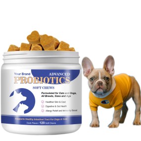 Probiotic Soft Chews Manufacturer - OEM ODM Gut Health