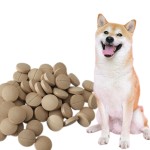 狗补充剂片生产商-定制关节支持