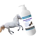 Equine Joint Gel Manufacturer - Veterinarian Recommended