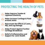 Pet Liquid Support Manufacturer - Organic Joint Drops