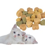 Pet Multivitamin Manufacturer - Custom 11 in 1 Chews
