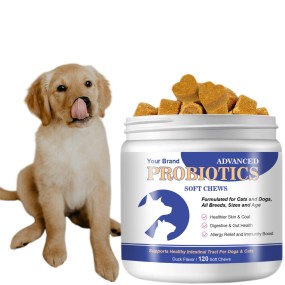 Dog Probiotics Supplier - Digestive Enzymes Soft Chews