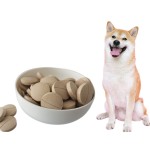 Dog Joint Supplement Manufacturer - Private Brand Chewable