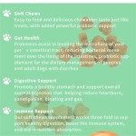 Digestive Probiotic Supplement Supplier - Private Label Prebiotics