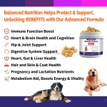 Pet Multivitamin Manufacturer - Custom 11 in 1 Chews