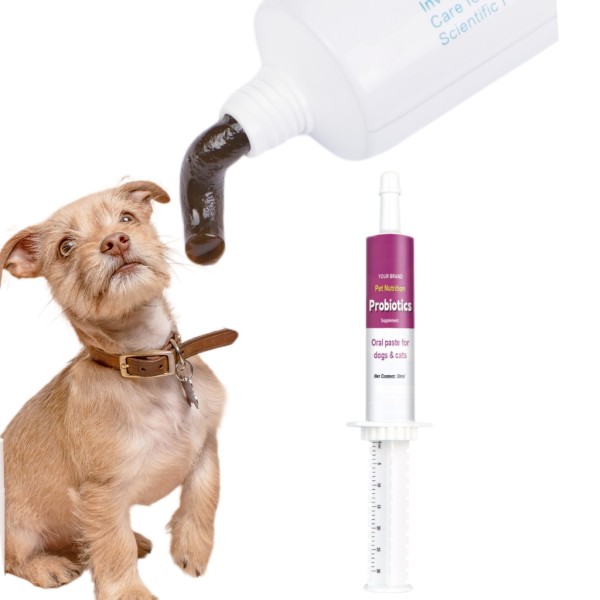 Nutritional Probiotic Gel Factory - Private Label Digestive