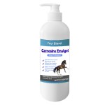 Equine Joint Gel Supplier - Veterinarian Soothing Knee
