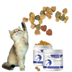 Digestive Probiotic Supplement Supplier - Private Label Prebiotics