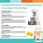 Heart Health Supplements Manufacturer - Wholesale Omega 3