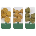 益生菌软嚼片厂家-批发定制消化