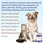 Probiotics Powder Factory - Natural Digestive Immune