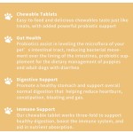 狗用益生菌厂家-可咀嚼片消化