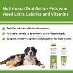 High Calorie Nutritional Gel Factory - Weight Gainer Booster