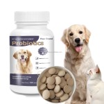 狗用益生菌厂家-可咀嚼片消化