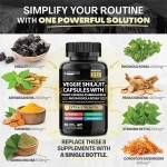 Shilajit Capsules Factory - OEM ODM Ginseng Ashwagandha