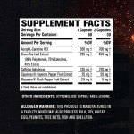 Acetyl L-Carnitine Capsules Factory - OEM Custom Green Tea Extract