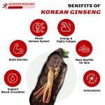 Korean Red Ginseng Capsules Factory - OEM Custom Circulation Focus