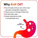 Krill Oil Supplement Factory - OEM Custom EPA DHA Astaxanthin