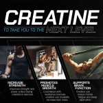 Creatine Monohydrate Powder Factory - OEM Custom Muscle Growth